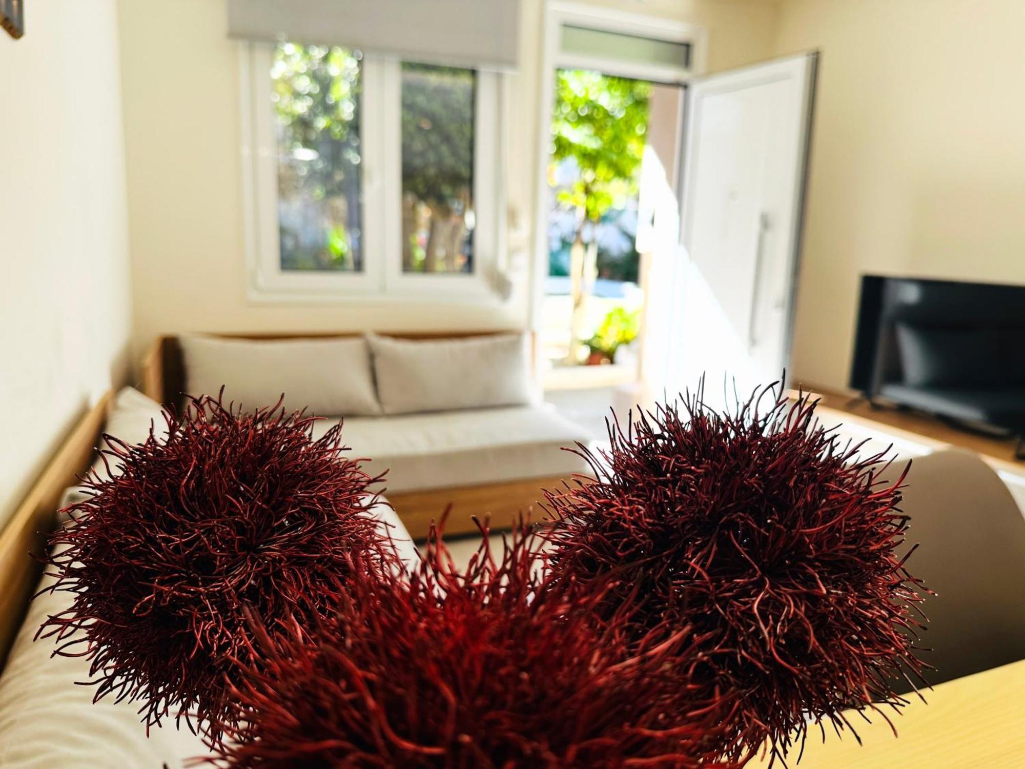Matina Room 干尼亞 外观 照片